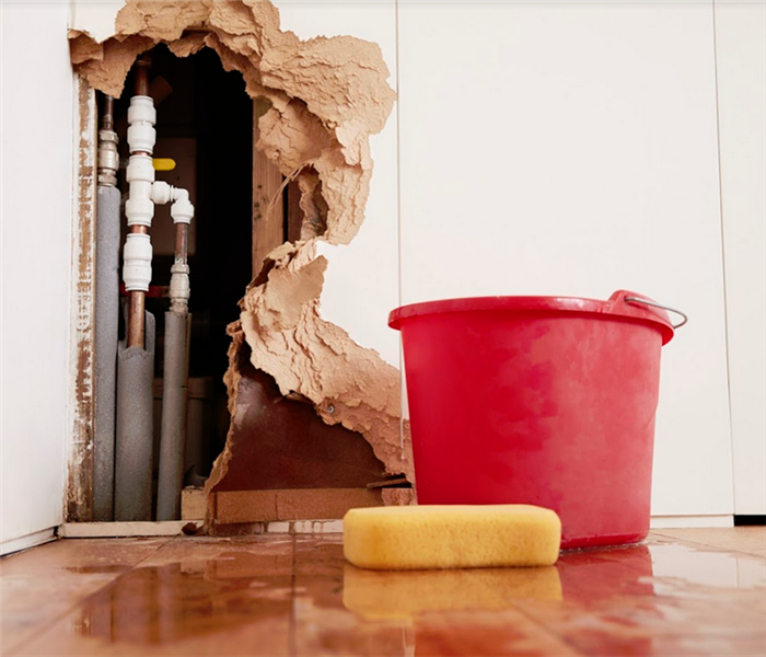 torn up wall with pipes behind it and a bucket and sponge beside it