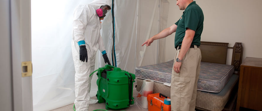 San Leandro, CA mold removal process